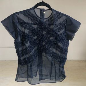 Vintage transparent pleated blouse